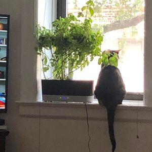 Meet your Posher, Anny